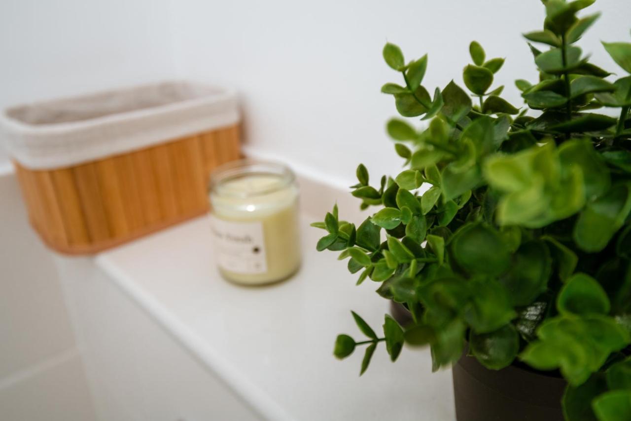 Apartament De Lux Central, P-Ta Matei Corvin คลูจ-นาโปกา ภายนอก รูปภาพ